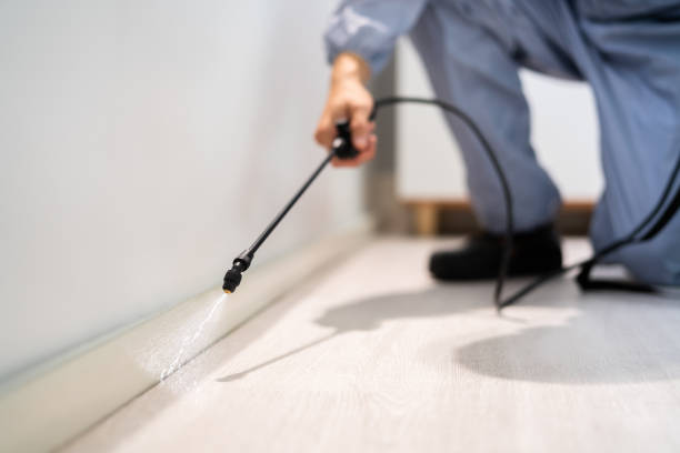 Licensed Cockroach Control service in Brighton, MI - Nex Pest Control