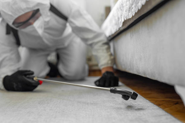 Professional Cockroach Control technician working in Brighton, MI