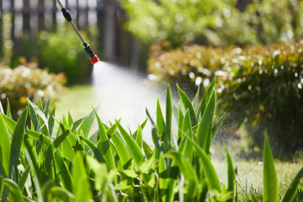 24/7 Emergency Cockroach Control experts in Brighton, MI