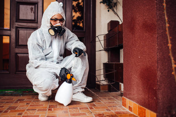 Reliable Cockroach Control contractor in Brighton, MI by Nex Pest Control