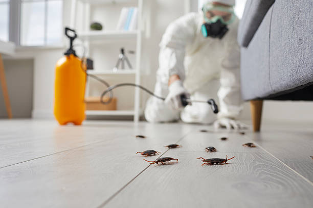 Affordable Cockroach Control solutions in Brighton, MI