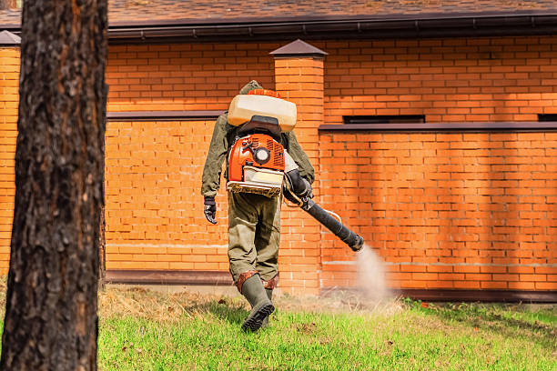 Top rated local Cockroach Control specialists in Brighton, MI